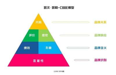 軟件開發中的品牌資產管理策略