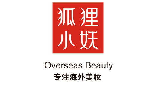 安徽狐貍小妖品牌管理 數字化轉型中的軟件開發策略與實踐